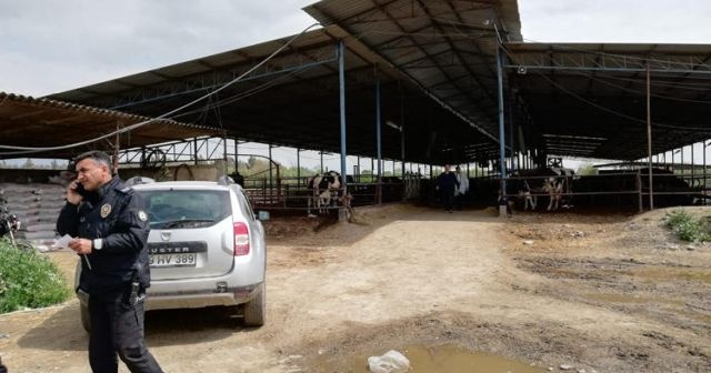 Korkunç olay! Çiftlikteki gübrelerin içinde çocuk cesedi bulundu