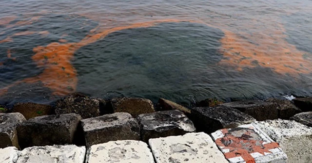 Marmara Denizi turuncuya bürünmüştü, sebebi belli oldu