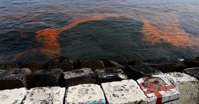 Marmara Denizi turuncuya bürünmüştü! Sebebi belli oldu