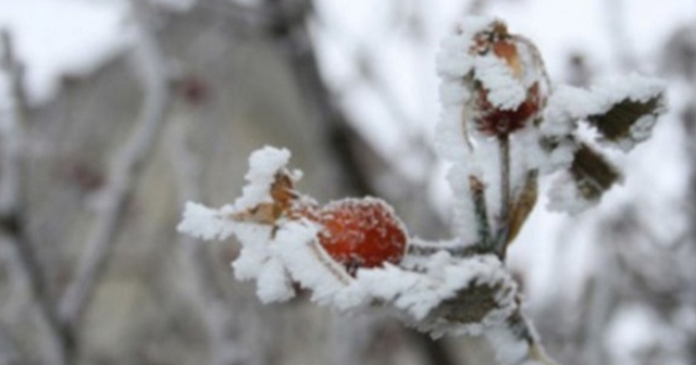 Meteoroloji&#039;den Sivas için zirai don uyarısı