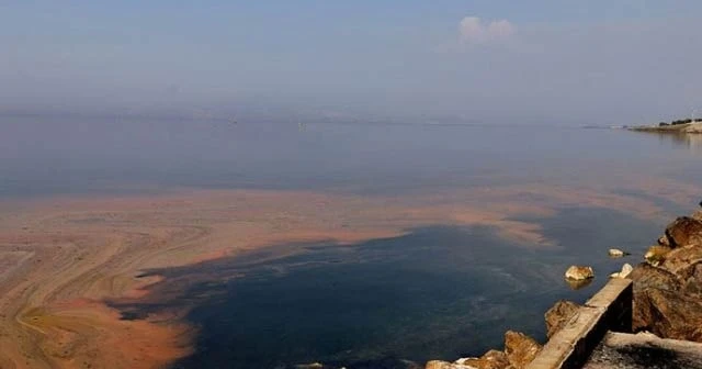 Planktonların çoğalmasıyla deniz kıyısı renklendi