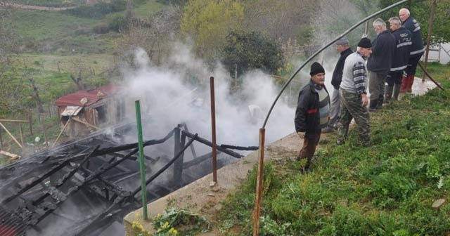 Sinop’ta ahır yangını: 5 hayvan telef oldu