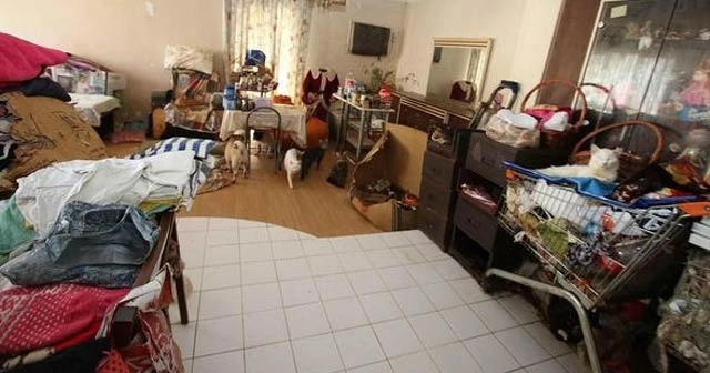 Şoke eden olay! Bir evden 47 kedi, 6 köpek ve 1 kaplumbağa çıktı