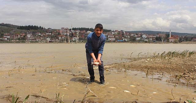 Tarladan balık topladılar