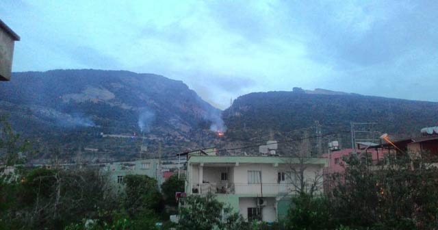 Yüksek gerilim direğindeki patlama orman yangınına neden oldu