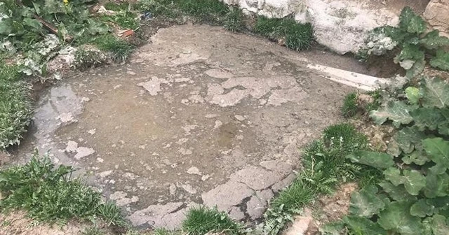 2 yaşındaki Zeynep'ten üzen haber!