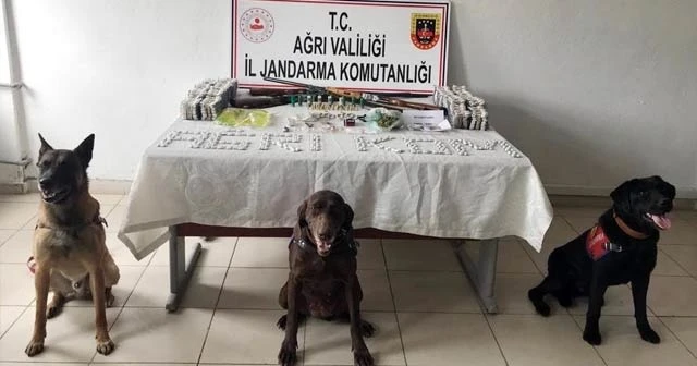 Ağrı’da uyuşturucu operasyonu: 18 gözaltı