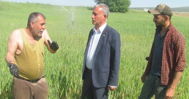 Çiftçiler Günü'nü tarlada çalışarak kutladılar