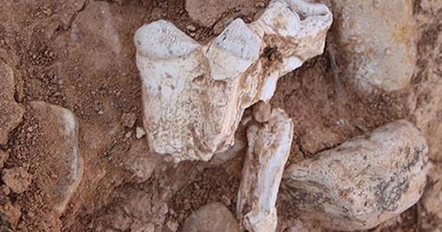 Çin&#039;de 300 bin yıllık insan fosili bulundu