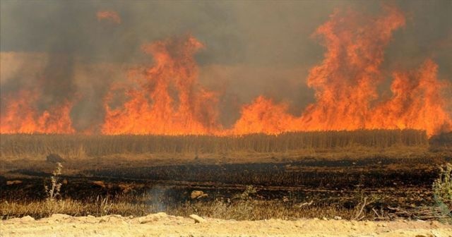 DEAŞ Irak&#039;ta tarım arazilerini ateşe veriyor