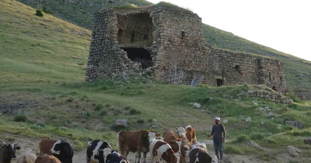 Gercüş’te asırlık kasr ilgisizlikten dökülüyor