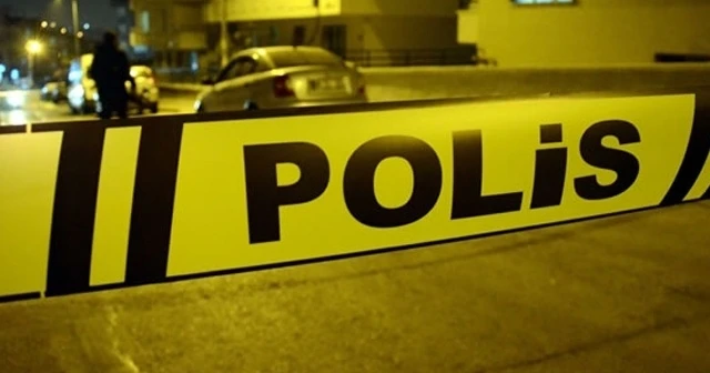 Hakkari'de su birikintisine giren 2 çocuk öldü