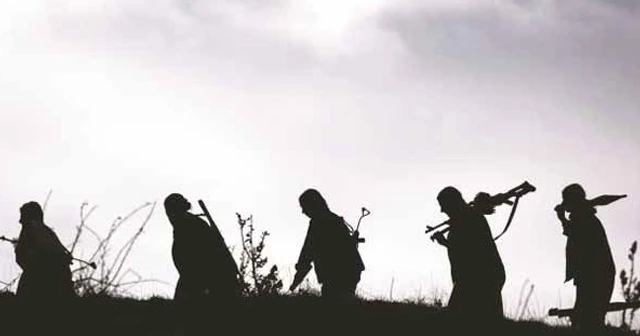 Hakkari'de terör operasyonu