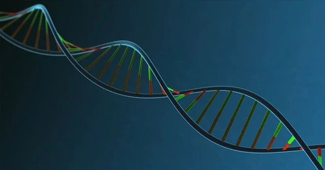 İnsan DNA'sının müziği notalara döküldü
