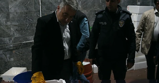 Kayseri'de 15 ton kaçak balık ele geçirildi