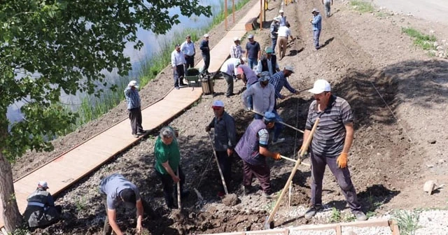 Kaz gölüne 3 bin adet lavanta dikildi