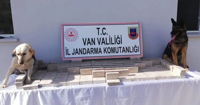 Koyun yüklü kamyonda 91 kilo eroin ele geçirildi