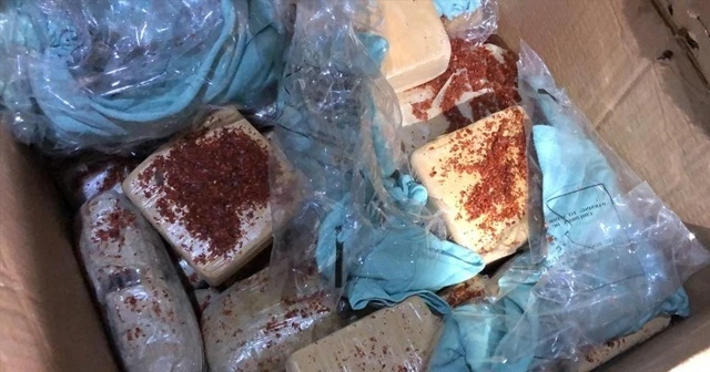 Pul biber ile kamufle edilen eroin, narkotik köpeği Alfa'ya takıldı