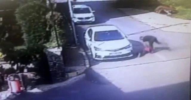 Tuzla'da küçük çocuğu döven şahıs adliyeye sevk edildi