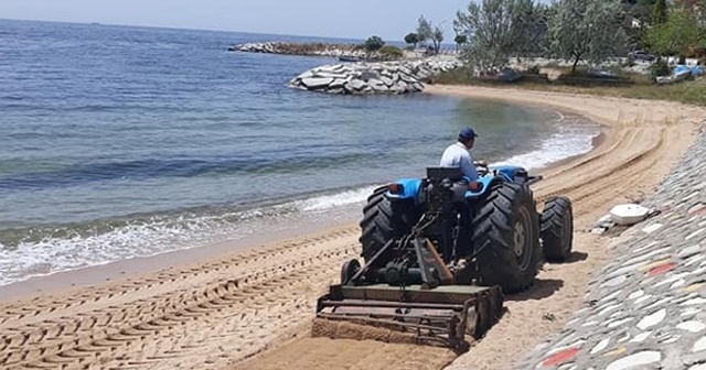 Yalova Armutlu sahillerinde bahar temizliği başladı