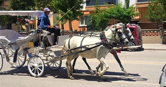 &#039;Fayton&#039; çilesi bitmiyor