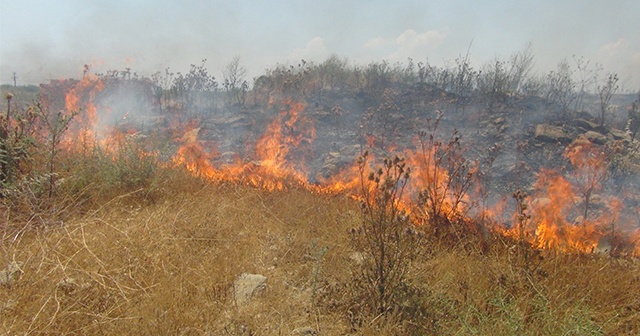 Antalya&#039;da cezaevi inşaatı yakınında 3 buçuk dönüm arazi yandı