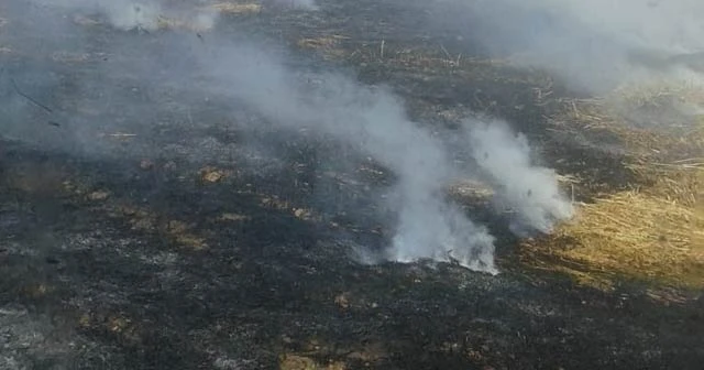 Arpa tarlası alev alev yandı