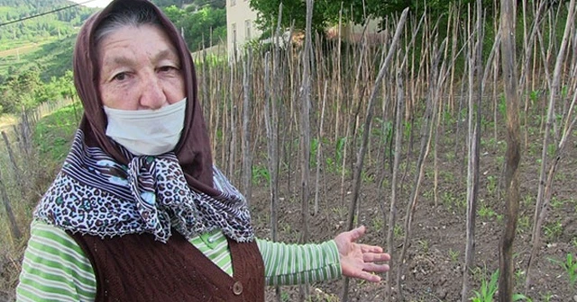 Artvin'de istila: Bir şey yapamıyoruz