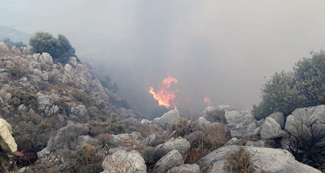 Datça’da 3 kola ayrılan yangın kontrol altına alındı