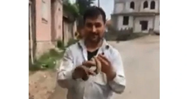 Evinde gördüğü yılanı yakalayarak doğaya saldı