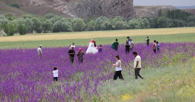 Gören duyan oraya koştu! Doğa severlerin akınına uğruyor