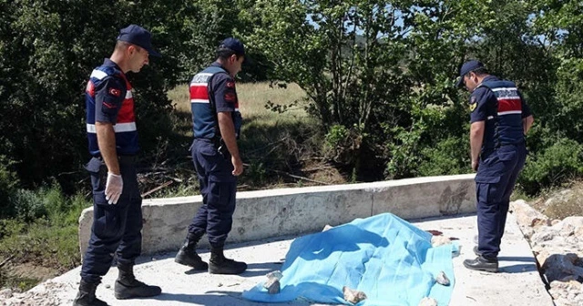 Görenler dehşete düştü! Yüzü parçalanmış halde bulundu