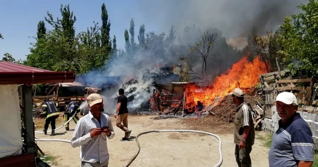 İnek, koyun ve tavuklar yanarak telef oldu