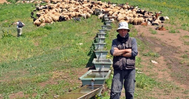 İran’dan gelip Yüksekova’da ayda 3 bin 400 TL’ye çoban oldu