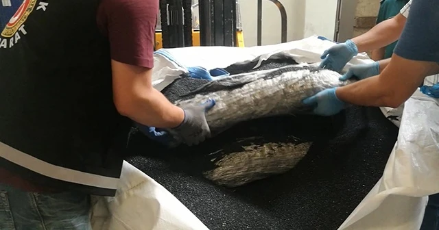 İstanbul’da 750 kilo esrar yakalandı