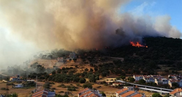 İzmir&#039;deki yangın yazlık evlere doğru ilerliyor