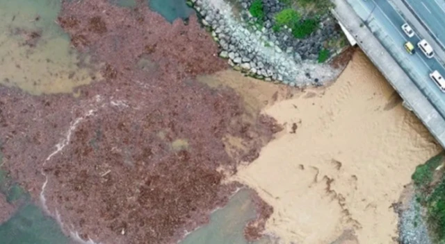 Karadeniz için korkutan açıklama!