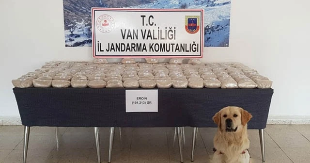 Koyun yüklü kamyonette 101 kilo 213 gram eroin ele geçirildi