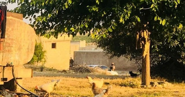 Şanlıurfa&#039;da terör operasyonu: 9 gözaltı