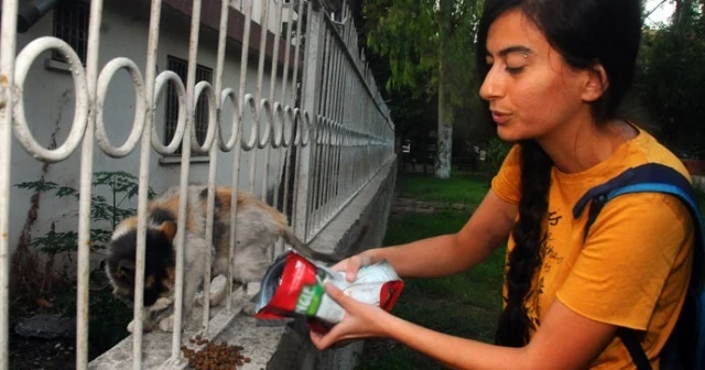Sokakta kedileri besleyen kadına anne-kızdan şok saldırı!