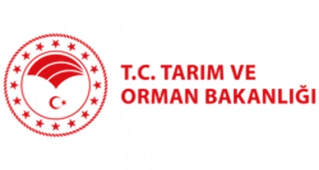 Tarım ve Orman Bakanlığından ‘balık ölümleri’ açıklaması