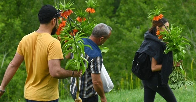 Ters laleleri koparanlara 180 bin TL para cezası
