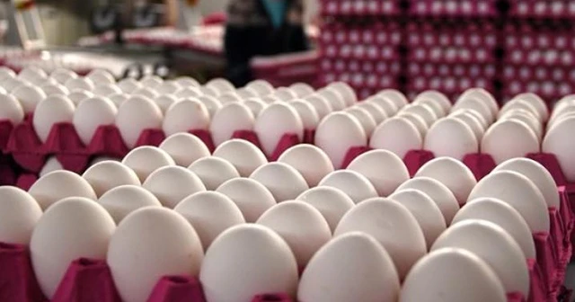 TMO'dan yumurta üreticilerine destek