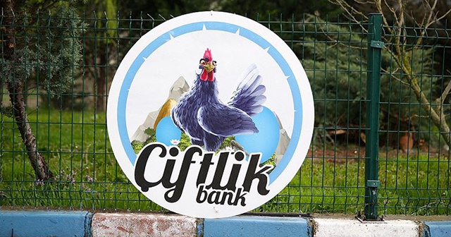 &#039;Çiftlik Bank&#039; davasında Mehmet Aydın&#039;ın eşi ifade verdi