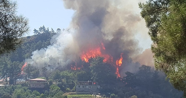 Antalya&#039;da orman yangını
