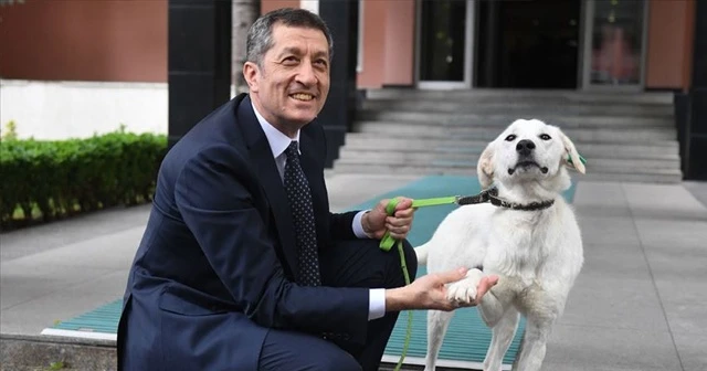 Bakan Selçuk'un sahiplendiği 'Pergel' eğitimcilere emanet