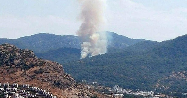 Bodrum&#039;da orman yangını