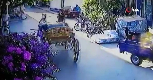 Büyükada’da fayton faciası kamerada