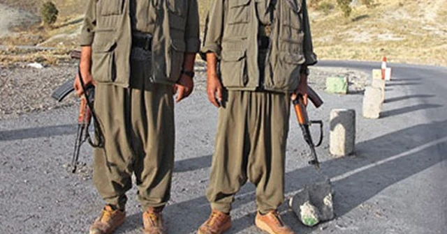 Diyarbakır'da PKK'ya silah ve eleman temin eden 2 terörist yakalandı