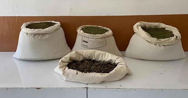 Diyarbakır'da terörün finans kaynağına büyük darbe